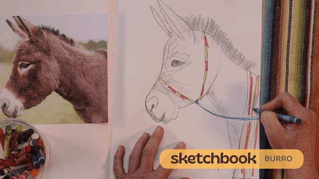 A person drawing a donkey in a sketchbook.